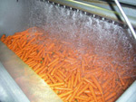 Hydrokoeling: tijdens het verwerkingsproces worden de wortelen besprenkeld met ijskoud water om de houdbaarheid te verhogen