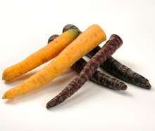 Purple and yellow carrots